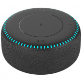 Умная колонка ZMI с поддержкой БЗ (B508)